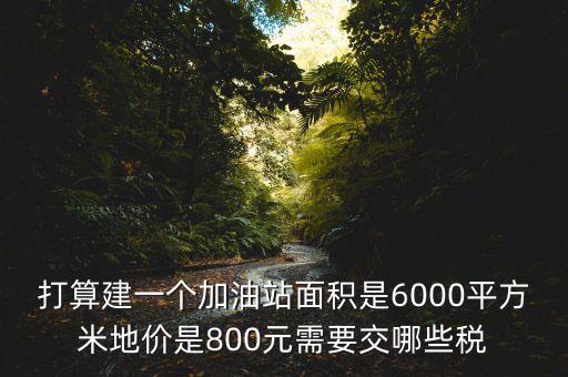 加油站都繳什么稅，打算建一個(gè)加油站面積是6000平方米地價(jià)是800元需要交哪些稅