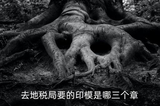 稅務(wù)局原始印模是什么東西，去地稅局要的印模是哪三個(gè)章