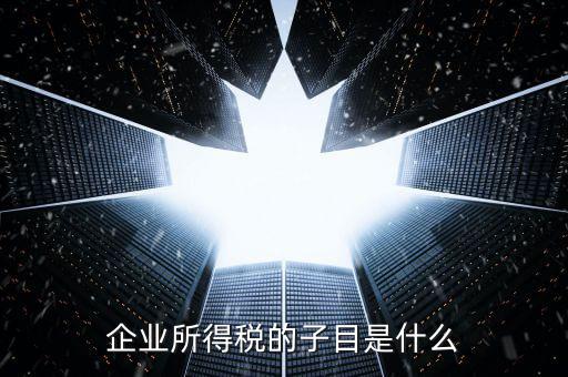 企業(yè)所得稅征收品目是什么，征收品目是什么