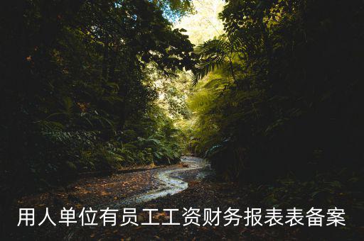 財務(wù)備案是什么意思，備案是什么意思