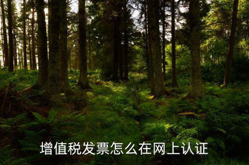 發(fā)票認證需要什么軟件下載，國稅發(fā)票認證需要準備那些資料 到大廳辦的時候工作人員叫我拿U盤