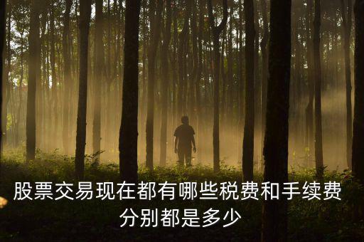 賣出股票要交什么稅，營改增后企業(yè)買賣股票應(yīng)按照什么稅目繳納增值稅