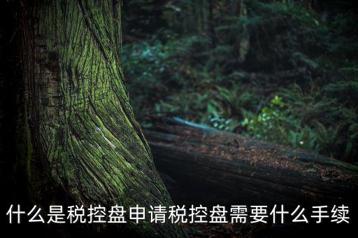 稅控盤制證是什么，去稅務(wù)局辦理稅控盤需要什么資料流程怎么走呢