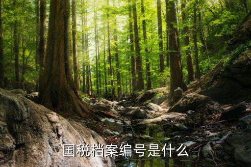 蘇州國稅局地區(qū)編號是什么，國稅檔案編號是什么