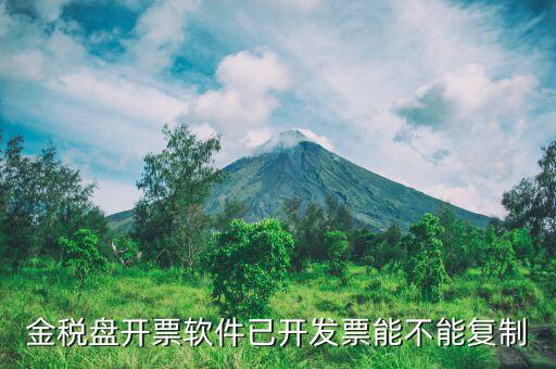 什么發(fā)票能進行復制發(fā)票操作，如何將Excel中制作的發(fā)票專業(yè)發(fā)票復制到Word文檔中并且格式
