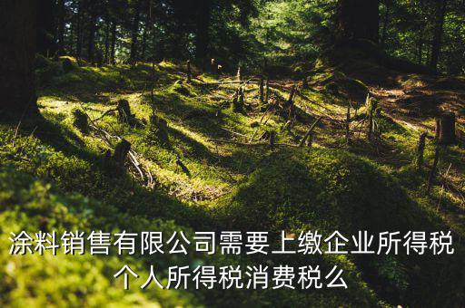 涂料銷售有限公司需要上繳企業(yè)所得稅個人所得稅消費(fèi)稅么