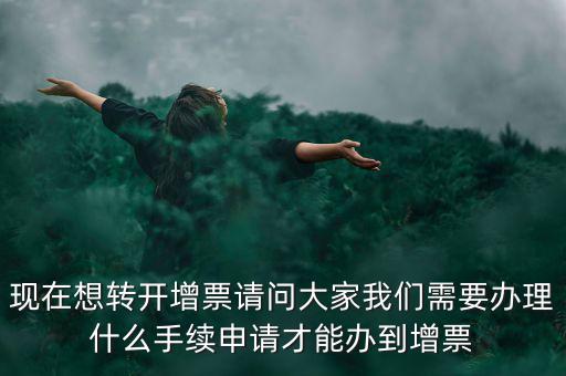 申請?jiān)黾影l(fā)票需要什么手續(xù)，去國稅局開增值稅專業(yè)發(fā)票需要帶什么材料
