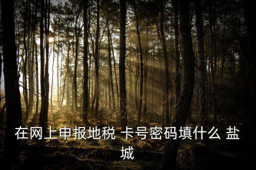 微信申報地稅的密碼是什么，地稅申報的用戶名和密碼是什么
