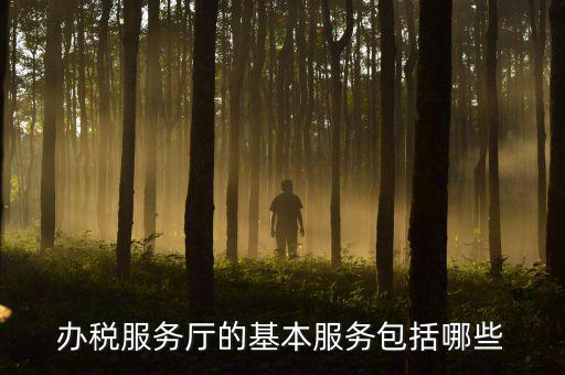 一體化辦稅服務(wù)廳是什么，辦稅服務(wù)廳的基本服務(wù)包括哪些