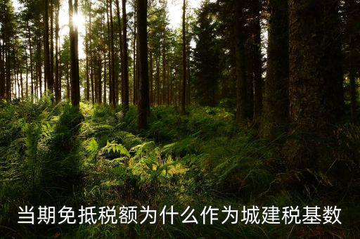 免抵稅額為什么要交城建稅，免抵稅額為什么要負擔城建稅和教育費附加