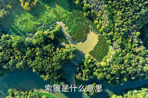 jsfapiaocn什么意思，索驥是什么意思