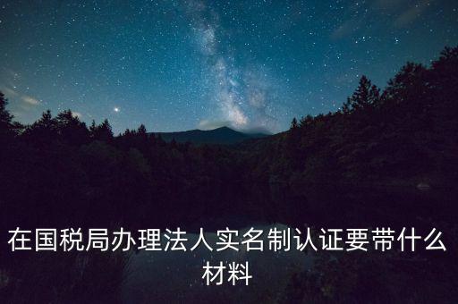 服務(wù)廳實名辦稅要帶什么，服務(wù)業(yè)辦稅務(wù)登記要些什么證件