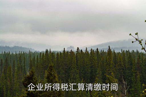 匯算清繳什么時候，個人所得稅匯算清繳的時間一定是次年的3月31日前