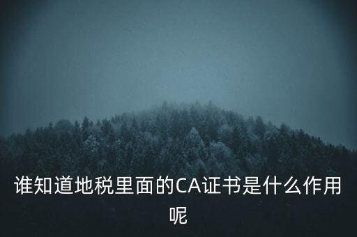 地稅的ca證書是什么，什么是聯(lián)通ca證書地稅ca證書