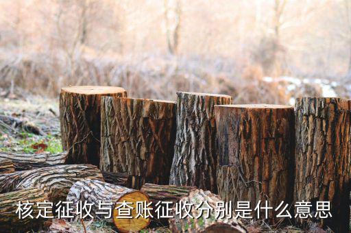 什么企業(yè)實行核定征收，企業(yè)所得稅可以核定征收嗎