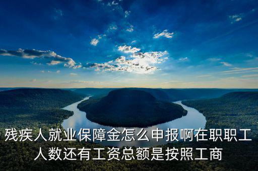 殘疾保證金什么申報(bào)，殘疾人就業(yè)保障金怎么申報(bào)啊在職職工人數(shù)還有工資總額是按照工商