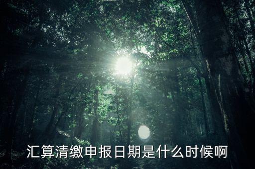 江西省匯算清繳什么時(shí)候開(kāi)始，所得稅匯算清繳的時(shí)間一般是在什么時(shí)候呢是每年都必須要做嗎