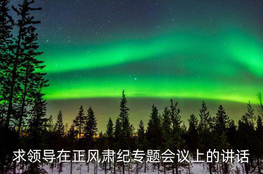 正風(fēng)肅紀(jì)講話什么意思，求領(lǐng)導(dǎo)在正風(fēng)肅紀(jì)專題會(huì)議上的講話