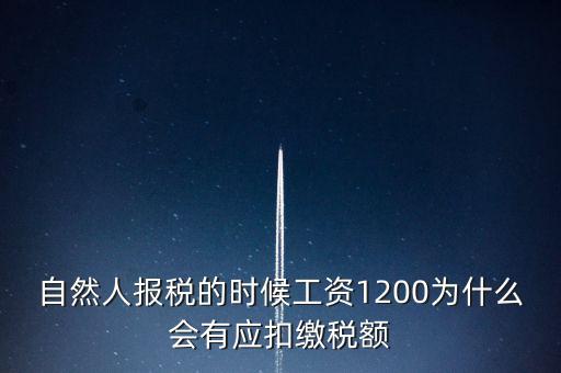 自然人報稅為什么，自然人辦稅服務(wù)平臺實名注冊的目的是什么