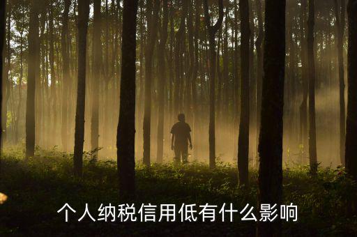 納稅信用記錄是什么，金稅三期納稅信用管理是什么意思