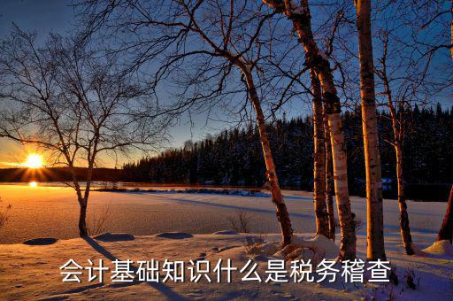 什么是稅收督察內(nèi)審工作，內(nèi)審監(jiān)察主要工作職能
