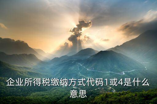 征收代碼是什么意思，工商所開的非稅收入收款收據(jù)上的代碼是什么意思