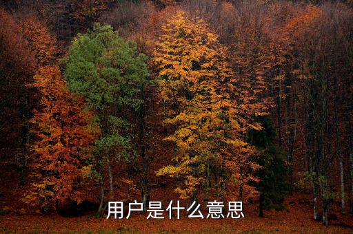稅局用戶是什么意思，國稅局發(fā)票軟件里用戶代碼和密碼是什么