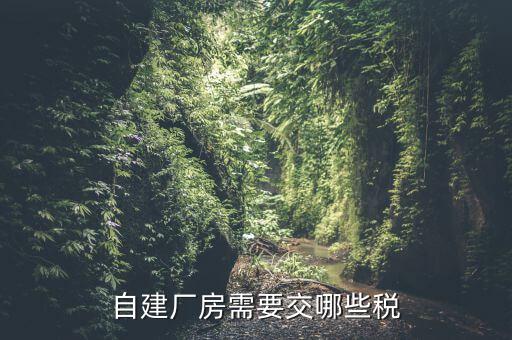 建廠房需要交什么稅，自建廠房需要交哪些稅