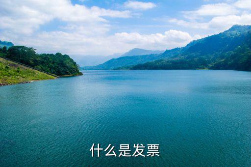 默認發(fā)票是什么，蘇寧天貓旗艦店默認開取什么發(fā)票