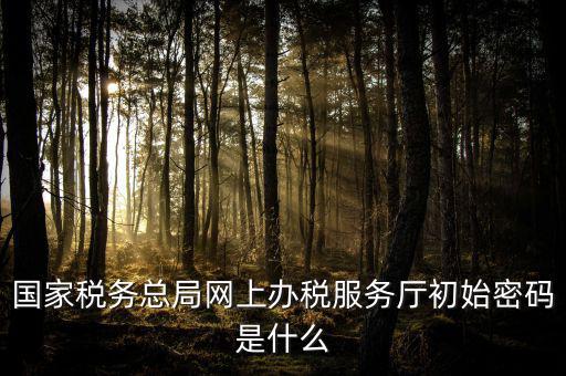 江蘇地稅登錄密碼是什么意思，江蘇地稅開票密碼是多少