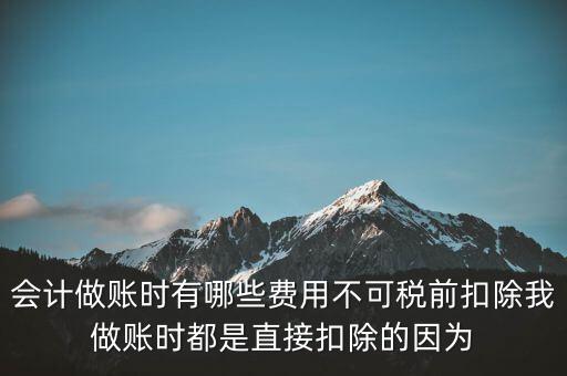 什么不可以稅前扣除嗎，納稅人哪些支出不能在企業(yè)所得稅前扣除