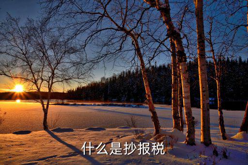 什么是抄稅報(bào)稅申報(bào)，抄稅和報(bào)稅是什么意思 應(yīng)該怎么做呢