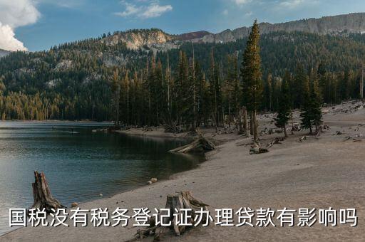 國稅未實名會影響什么，稅務未實名認證對負責人有影響么