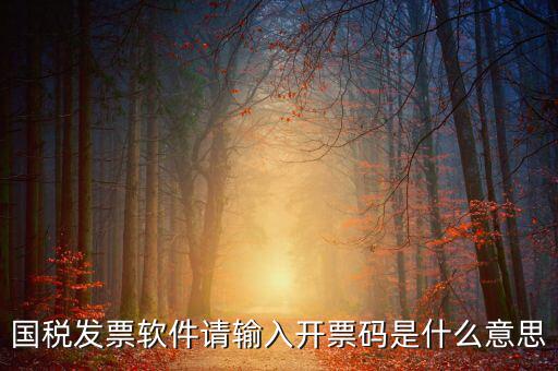 開(kāi)票二維碼是什么軟件，天津國(guó)稅通用機(jī)打發(fā)票二維碼包含的內(nèi)容解碼軟件
