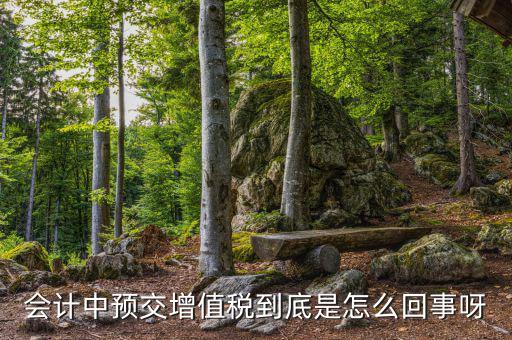 增值稅為什么要預(yù)繳，輔導(dǎo)期增購增值稅發(fā)票為什么要預(yù)繳