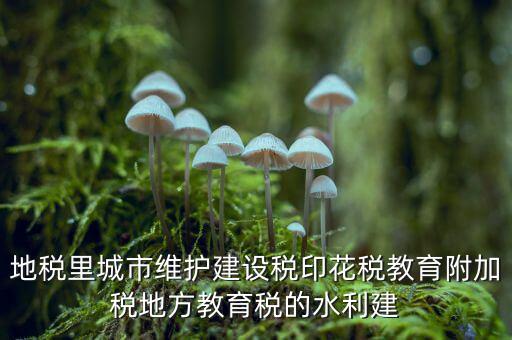水利建設(shè)基金的計(jì)稅基礎(chǔ)是什么，計(jì)稅基礎(chǔ)是什么意思