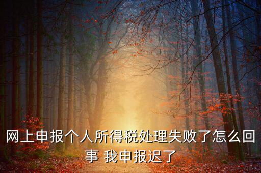 稅款處理失敗什么意思，扣繳稅款失敗提示銀財(cái)通處理失敗FAPP00444要怎樣處理才可以扣款