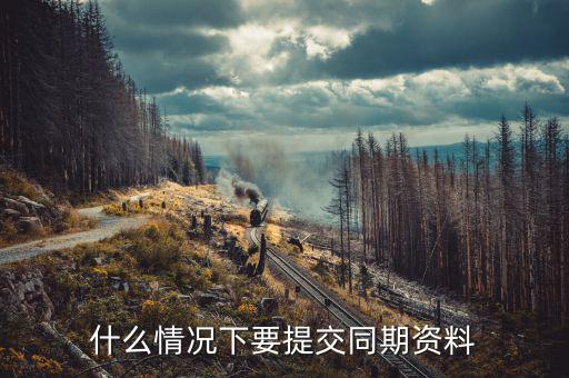 本年度同期資料是什么意思，什么情況下要提交同期資料