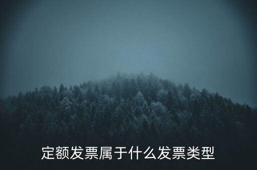 定額發(fā)票什么，河南省地稅定額發(fā)票怎么查詢