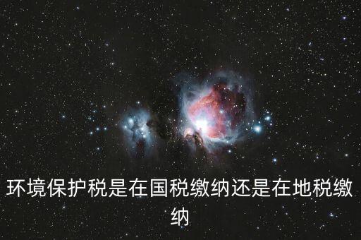 什么是環(huán)境保護(hù)稅納稅人，環(huán)境稅是什么意思