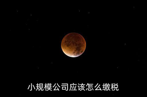 小規(guī)模公司按什么交稅嗎，一個(gè)小規(guī)模納稅公司國稅和地稅應(yīng)該都分別交什么稅