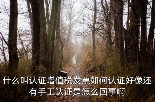 什么叫發(fā)票認(rèn)證，什么叫認(rèn)證增值稅發(fā)票如何認(rèn)證好像還有手工認(rèn)證是怎么回事啊