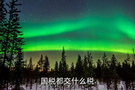 國(guó)稅稅費(fèi)是什么，國(guó)稅都交什么稅