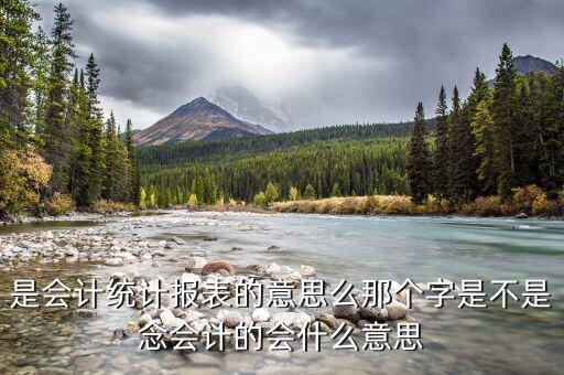 統(tǒng)計納稅申報表是什么，請問納稅申報中的基礎表數據中的基礎表是指什么