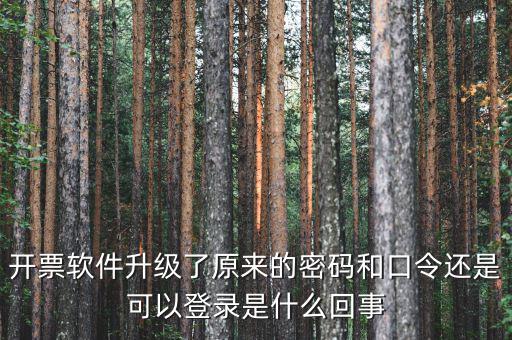 金稅盤開票密碼和口令是什么意思，口令和密碼有什么區(qū)別