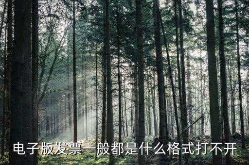 微發(fā)票助手是什么格式，exa是什么格式