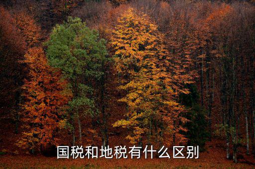 內(nèi)地稅是什么，請(qǐng)問(wèn)地稅開的是什么發(fā)票國(guó)稅開的又是哪些發(fā)票比如說(shuō)增值稅發(fā)