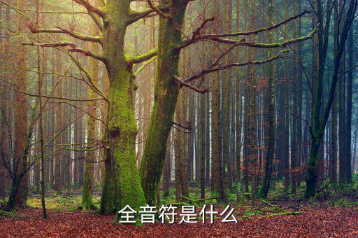 一戶式是什么，服裝SKU是指什么有什么實(shí)際應(yīng)用意義
