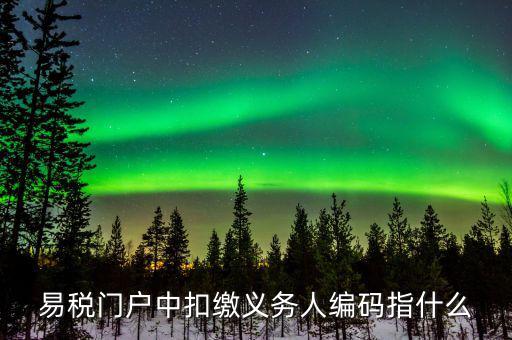 扣繳義務(wù)人識(shí)別碼是什么，易稅門(mén)戶(hù)中扣繳義務(wù)人編碼指什么