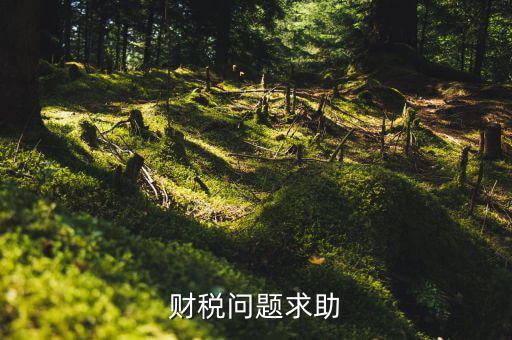 財(cái)稅問題是什么，財(cái)稅風(fēng)險(xiǎn)都有哪些